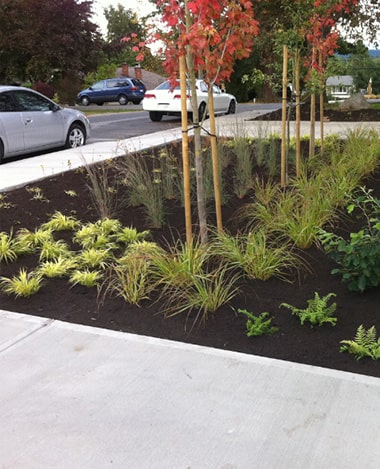 Stormwater Systems Engineering Design